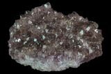 Purple Amethyst Cluster - Alacam Mine, Turkey #89760-1